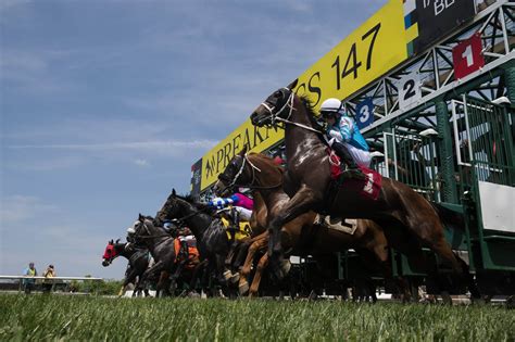 2022 preakness entries|Preakness 2022 results and payouts .
